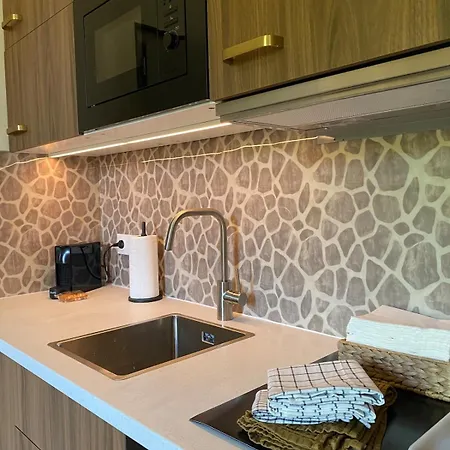 Cozy And Well Located Apartment Dijon